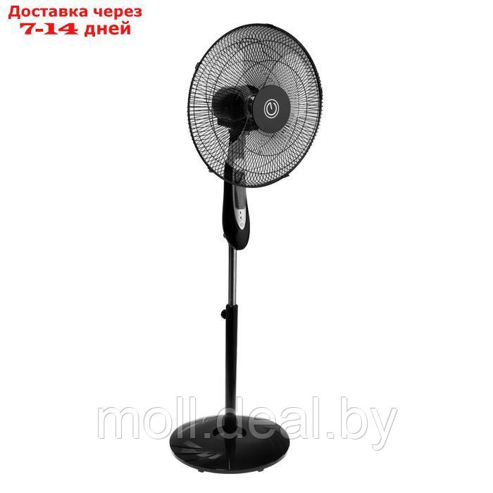 Вентилятор ENERGY ELEGANCE EN-1617, напольный, 50 Вт, 3 скорости, 40 см, чёрный - фото 1 - id-p214088002
