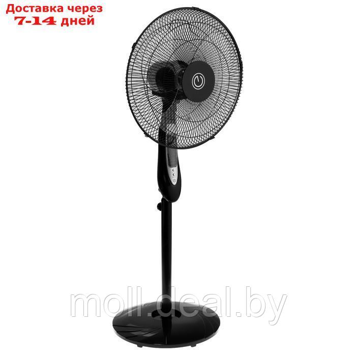 Вентилятор ENERGY ELEGANCE EN-1617, напольный, 50 Вт, 3 скорости, 40 см, чёрный - фото 3 - id-p214088002
