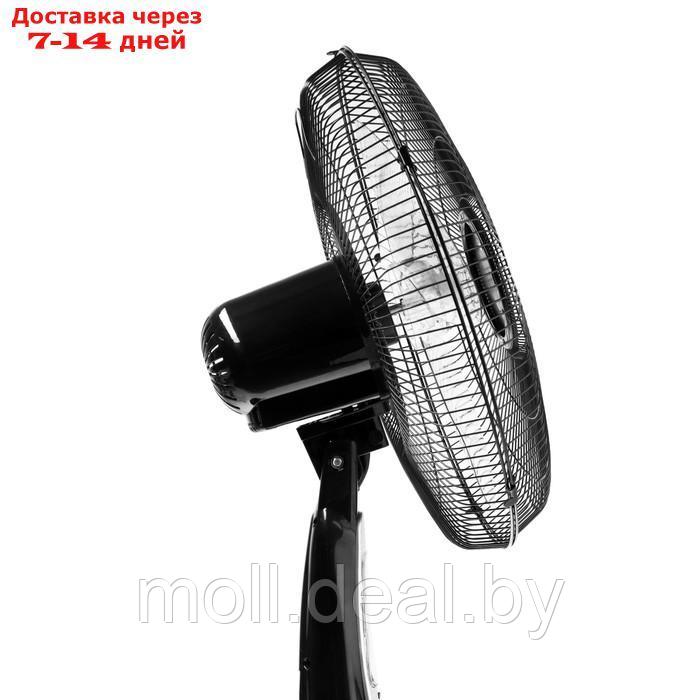 Вентилятор ENERGY ELEGANCE EN-1617, напольный, 50 Вт, 3 скорости, 40 см, чёрный - фото 5 - id-p214088002