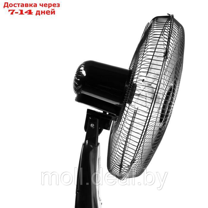 Вентилятор ENERGY ELEGANCE EN-1617, напольный, 50 Вт, 3 скорости, 40 см, чёрный - фото 6 - id-p214088002