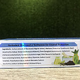 Травяная зубная паста с Черным Тмином Herbodent Black Seed, 100 гр, фото 3