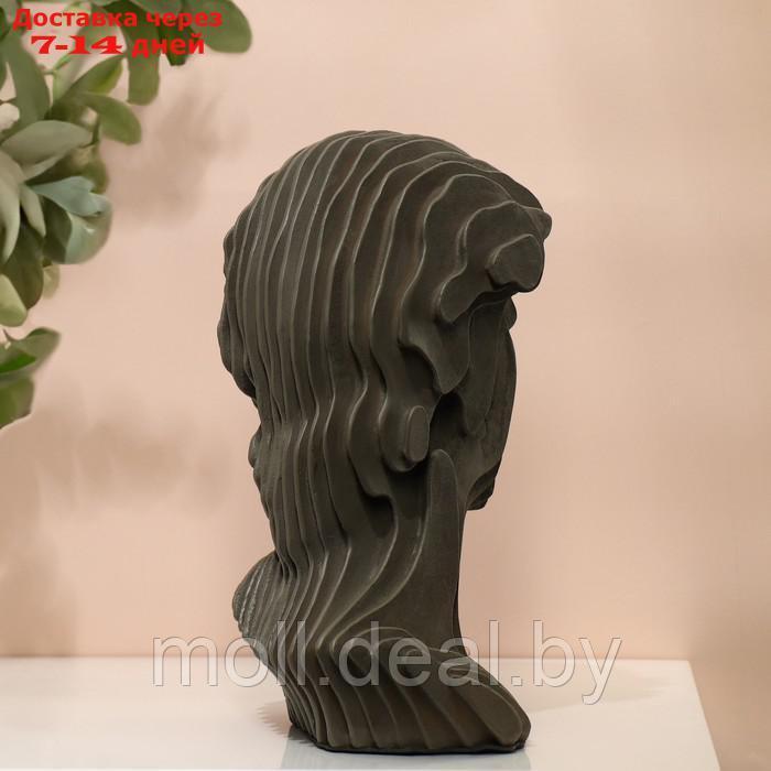 Скульптура "Голова Давида", полистоун, 18 х 18 х 29 см - фото 4 - id-p214088803
