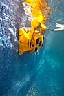 Робот пылесос для бассейна DOLPHIN WAVE 100 (для бассейна 25 метров), фото 3