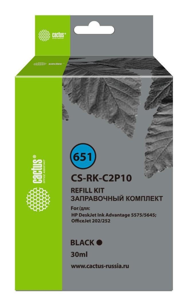 Заправочный набор Cactus CS-RK-C2P10 №651 черный30мл для HP DJ 5575/5645 - фото 1 - id-p214169939