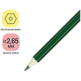 Карандаши цветные ArtSpace "Милые зверушки", 24цв., заточен., картон, европодвес, фото 5