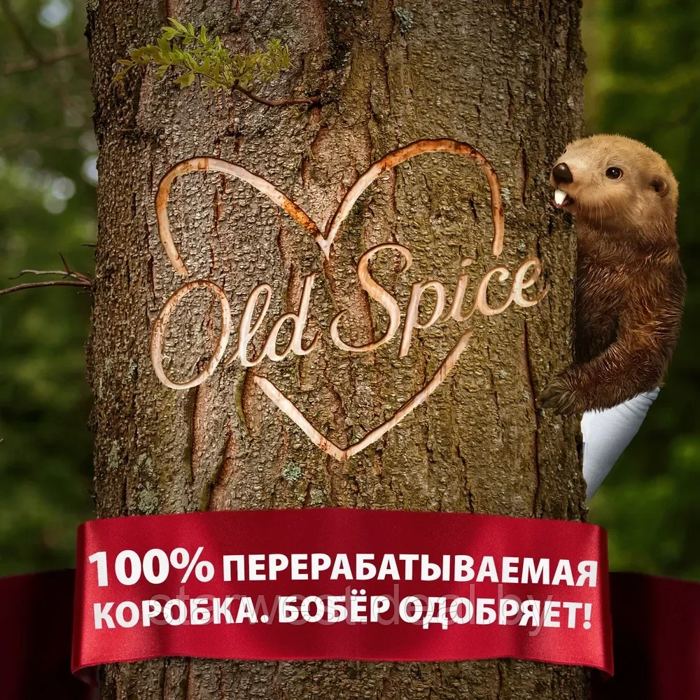 Old Spice Whitewater Подарочный набор мужской: Дезодорант-спрей + Гель для душа + Шампунь + Носки - фото 10 - id-p214206286