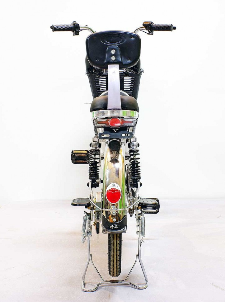 Электровелосипед GreenCamel Транк-20 V2 серебристый - фото 2 - id-p214213196