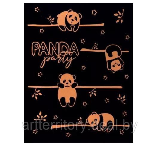 Тетрадь для записей, 48.57, Panda, 48 листов, BINERA (клетка) - фото 1 - id-p214179879