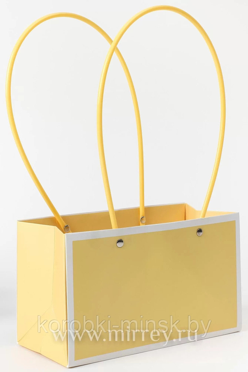 Пакет подарочный "Мастхэв"  22*11*14см прямоугольный, Желтый с белыми линиями