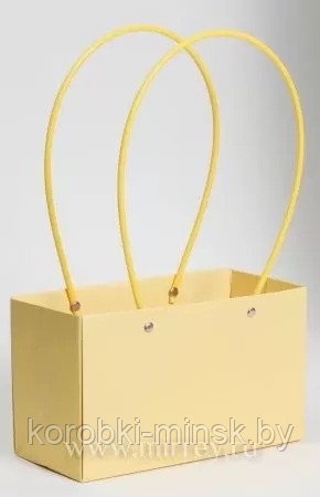 Пакет подарочный "Мастхэв"  22*11*14см прямоугольный, Желтый