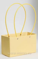 Пакет подарочный "Мастхэв" 22*11*14см прямоугольный, Желтый