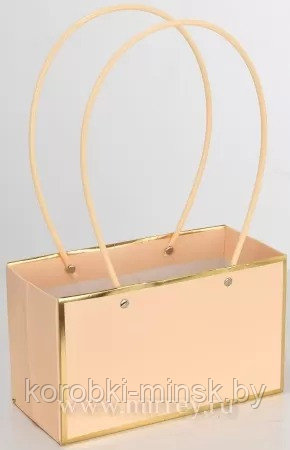 Пакет подарочный "Мастхэв горошек"  22*11*14см прямоугольный, шампань с золотыми линиями