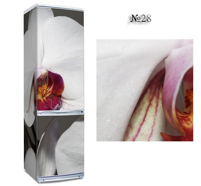 Наклейка на холодильник "Орхидея" - фото 1 - id-p1029742