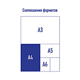 Папка на резинке Berlingo "Standard" А4, 600мкм, черная, фото 2