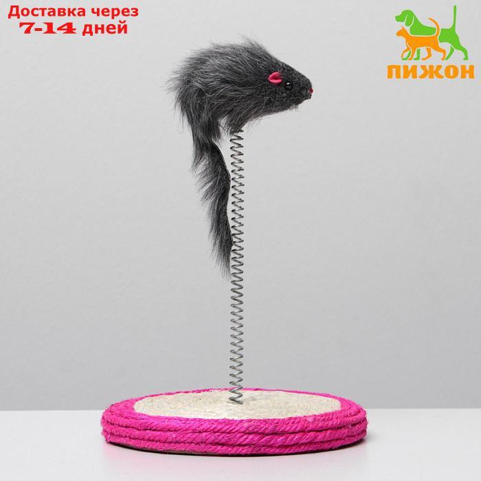 Дразнилка для кошек "Мышь на сизалевой подставке", 15 х 23 см, микс цветов - фото 1 - id-p214209027