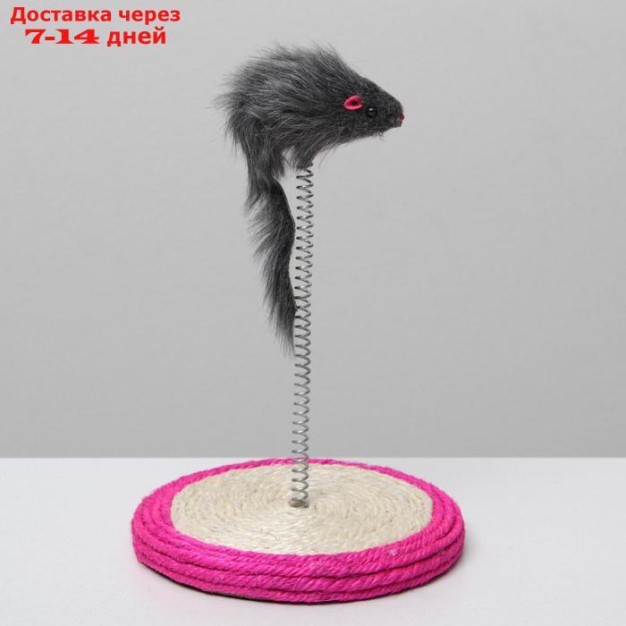 Дразнилка для кошек "Мышь на сизалевой подставке", 15 х 23 см, микс цветов - фото 4 - id-p214209027