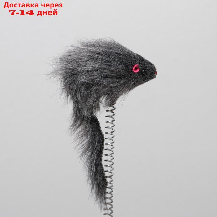 Дразнилка для кошек "Мышь на сизалевой подставке", 15 х 23 см, микс цветов - фото 5 - id-p214209027