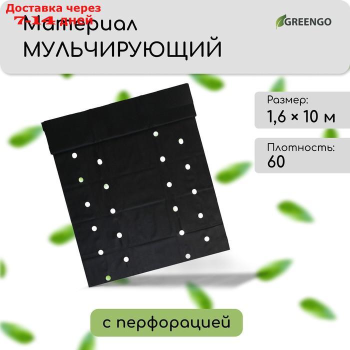 Материал мульчирующий, 10 × 1,6 м, плотность 60, с УФ-стабилизатором, два ряда перфорации (о), чёрный - фото 1 - id-p214210043