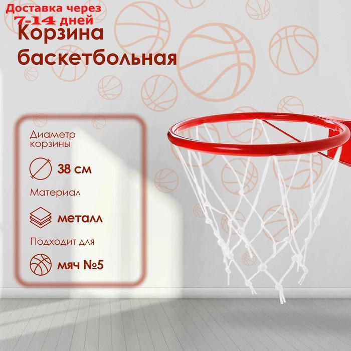 Корзина баскетбольная №5, d=380 мм, с упором и сеткой - фото 1 - id-p214209167
