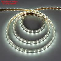 Светодиодная лента Ecola STD, 220В, SMD5050, 50 м, IP68, 14.4Вт/м, 60 LED/м, 6000К