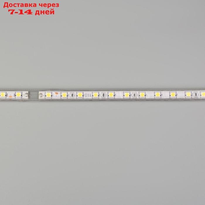 Светодиодная лента Ecola STD, 220В, SMD5050, 50 м, IP68, 14.4Вт/м, 60 LED/м, 6000К - фото 5 - id-p214209504