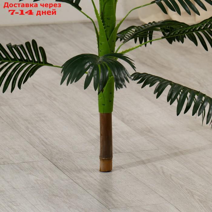 Дерево искусственное "пальма Хамедорея" 140 см - фото 3 - id-p214210543