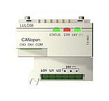 LULC08 МОДУЛЬ СВЯЗИ CANOPEN 24В ПОСТОЯННОГО ТОКА, фото 5