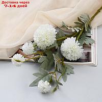 Цветы искусственные "Астра китайская Балун" 77 см, белый
