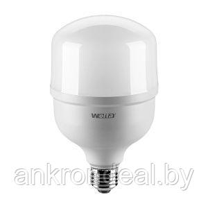 Лампа светодиодная высокомощная  30Вт 2500лм 6500К E27/40 (40шт/уп) WOLTA