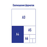 Папка-скоросшиватель пластик. Berlingo, А4, 180мкм, белая с прозр. верхом, фото 4