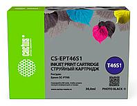 Картридж струйный Cactus CS-EPT46S1 T46S1 фото черный (30мл) для Epson SureColor SC-P700