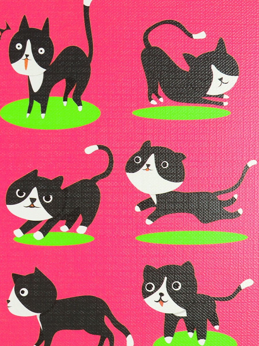 Альбом для рисования А4 «Очаровательная кошка» 20 л. - фото 2 - id-p214259686
