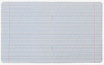 Тетрадь школьная А5, 12 л. на скобе «Кот Басик» 165*205 мм, косая линия, ассорти