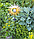 Фонарь садовый ЧУДЕСНЫЙ САД 322 "Ясно солнышко" на солнечной батарее, металл/пластик, фото 2