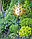 Фонарь садовый ЧУДЕСНЫЙ САД 322 "Ясно солнышко" на солнечной батарее, металл/пластик, фото 4