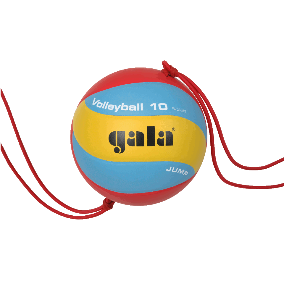 Мяч волейбольный Gala Jump - фото 1 - id-p214380650