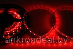 LED лента 5м открытая, 8 мм, IP23, SMD 2835, 60 LED/m, 12 V, цвет свечения красный LAMPER