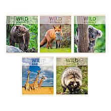 Тетрадь общая 96 листов в клетку. Wild animals