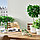 IKEA/ ФЕЙКА  искусственное растение и кашпо, 6 см, д/дома/улицы белый/зеленый, фото 2