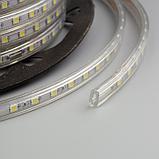 Светодиодная лента Ecola STD 14 × 7 мм, 50 м, IP68, SMD5050, 60 LED/м, 14.4 Вт/м, 220 В, 6000К, фото 4