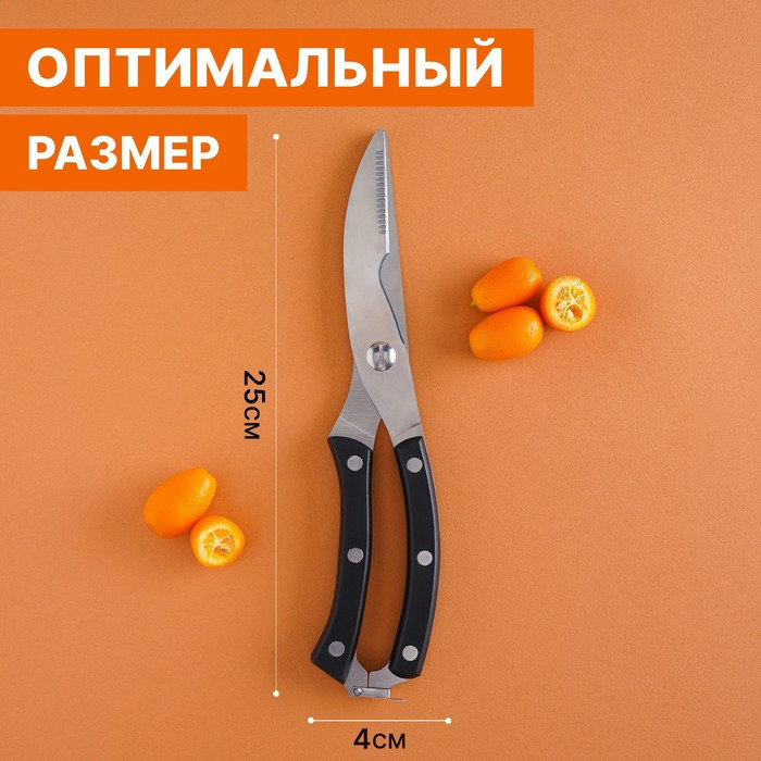 Ножницы кухонные Доляна «Профи», 25×4×1,5 см - фото 2 - id-p214393840