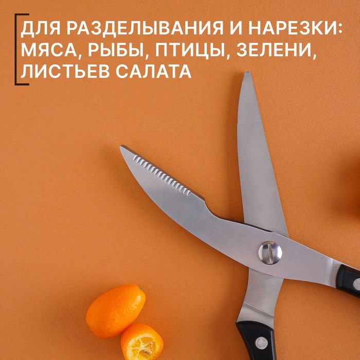 Ножницы кухонные Доляна «Профи», 25×4×1,5 см - фото 4 - id-p214393840
