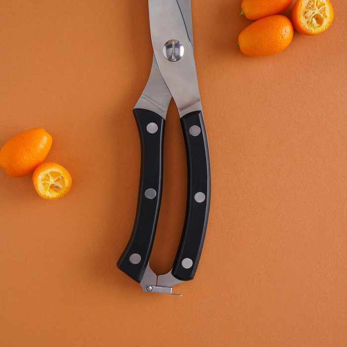 Ножницы кухонные Доляна «Профи», 25×4×1,5 см - фото 5 - id-p214393840