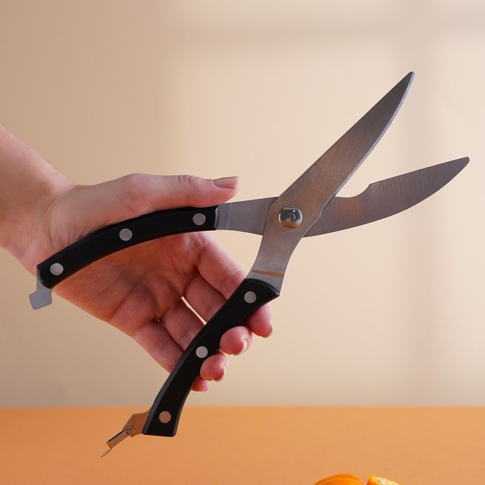 Ножницы кухонные Доляна «Профи», 25×4×1,5 см - фото 7 - id-p214393840