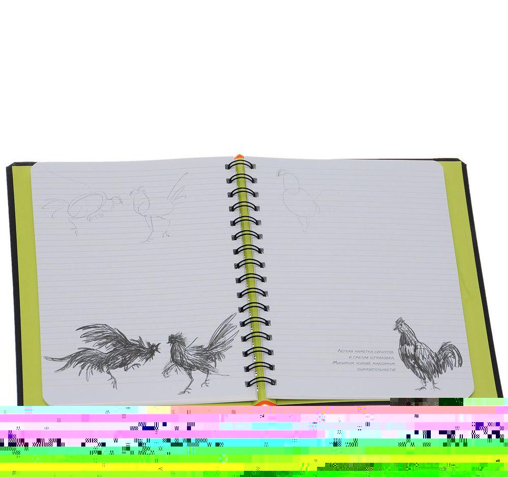 SketchBook. Визуальный экспресс-курс по рисованию (черный) - фото 2 - id-p214398749