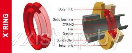 Цепь JT 428X1R X-Ring черная (134 звена) - фото 4 - id-p214443781