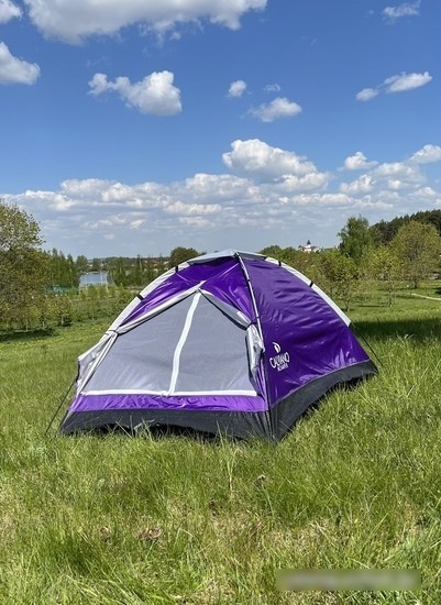 Треккинговая палатка Calviano Acamper Domepack 4 (фиолетовый) - фото 2 - id-p214446823