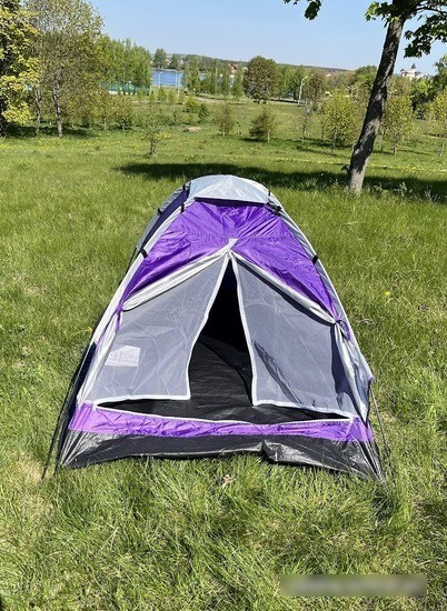 Треккинговая палатка Calviano Acamper Domepack 4 (фиолетовый) - фото 5 - id-p214446823