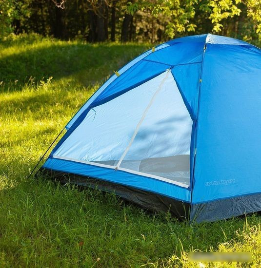 Треккинговая палатка Calviano Acamper Domepack 4 (синий) - фото 2 - id-p214446825