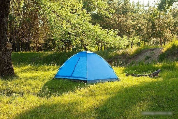 Треккинговая палатка Calviano Acamper Domepack 4 (синий) - фото 4 - id-p214446825